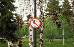 Пешеходные знаки Пешеходные знаки