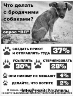 Чьих животных будут стерилизовать в Запорожье? Чьих животных будут стерилизовать в Запорожье?