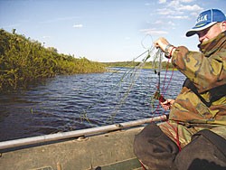 Запорожские браконьеры сами окажутся «на крючке» Запорожские браконьеры сами окажутся «на крючке»