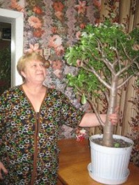 Чем мы хуже? Чем мы хуже?