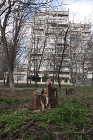 Что победит: зеленые зоны или белые стены? Что победит: зеленые зоны или белые стены?