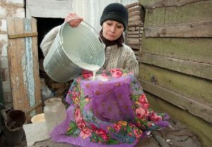 Молочный бунт закончился Молочный бунт закончился