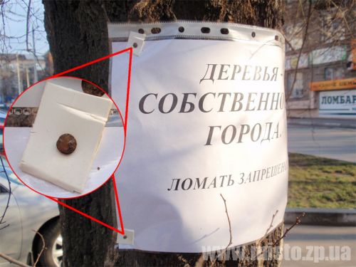 Деревья ломать запрещено. Пригвоздить можно.